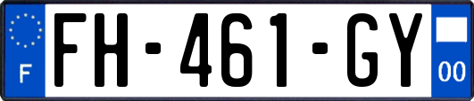 FH-461-GY