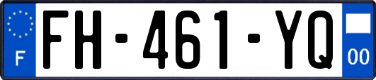 FH-461-YQ