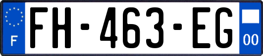 FH-463-EG