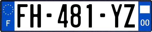 FH-481-YZ