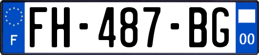 FH-487-BG