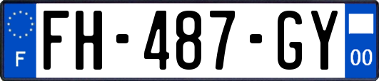 FH-487-GY