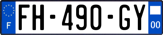 FH-490-GY