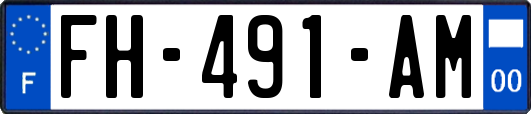 FH-491-AM