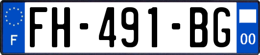 FH-491-BG