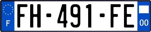 FH-491-FE