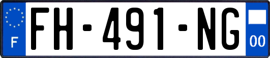 FH-491-NG