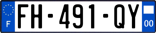 FH-491-QY