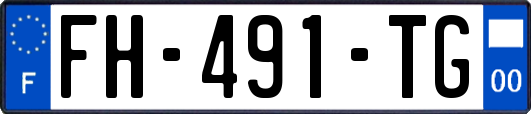 FH-491-TG