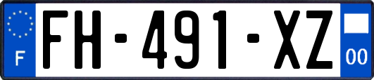 FH-491-XZ