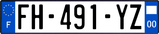 FH-491-YZ