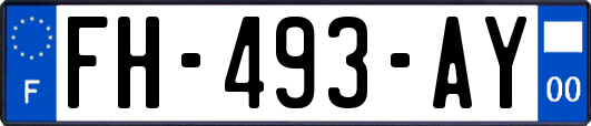 FH-493-AY