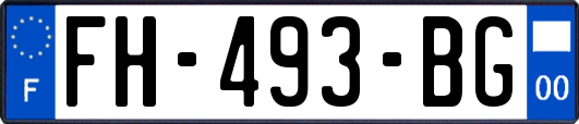 FH-493-BG