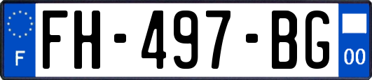 FH-497-BG