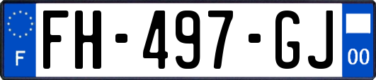 FH-497-GJ