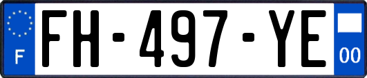 FH-497-YE