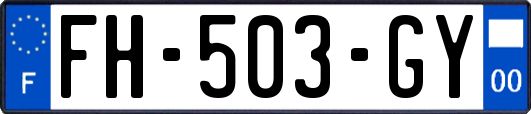 FH-503-GY
