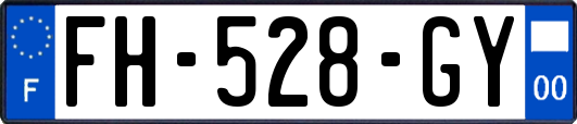 FH-528-GY