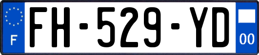 FH-529-YD