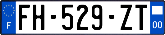 FH-529-ZT