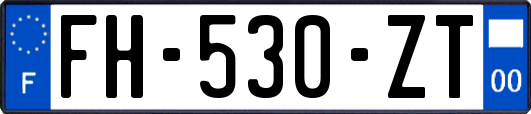 FH-530-ZT