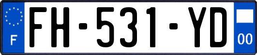 FH-531-YD