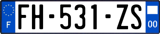 FH-531-ZS