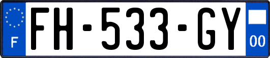 FH-533-GY