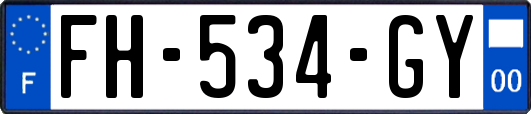 FH-534-GY