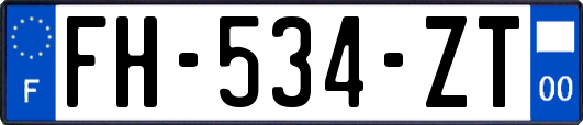 FH-534-ZT