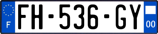 FH-536-GY