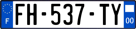 FH-537-TY