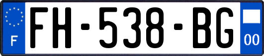 FH-538-BG