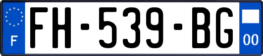 FH-539-BG