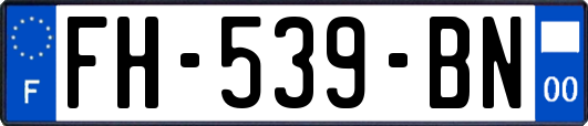 FH-539-BN