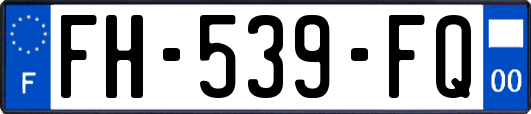 FH-539-FQ