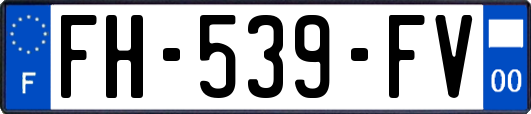 FH-539-FV