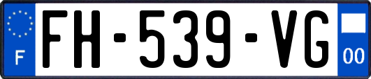 FH-539-VG