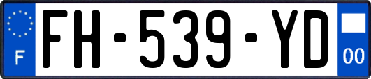 FH-539-YD