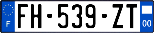 FH-539-ZT