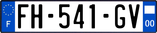 FH-541-GV