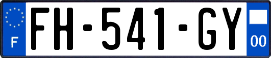 FH-541-GY