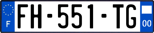 FH-551-TG