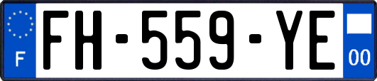 FH-559-YE