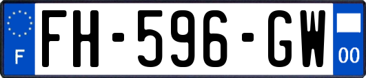 FH-596-GW