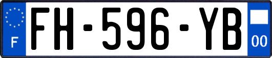 FH-596-YB