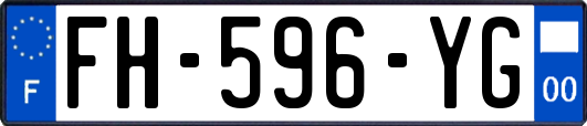 FH-596-YG