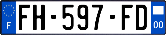 FH-597-FD