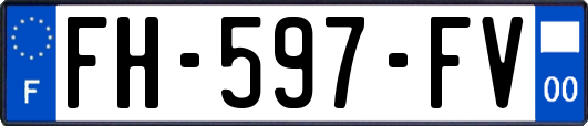 FH-597-FV