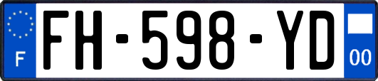 FH-598-YD